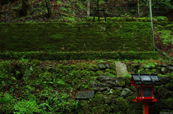 tak1205_Kifune01.jpg