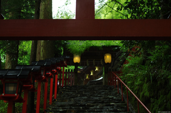 tak1205_Kifune02.jpg