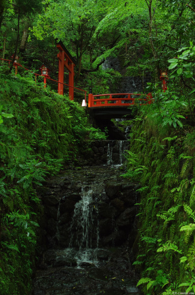 tak1205_Kifune05.jpg