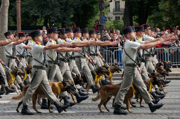 20140714_Parade_02.jpg
